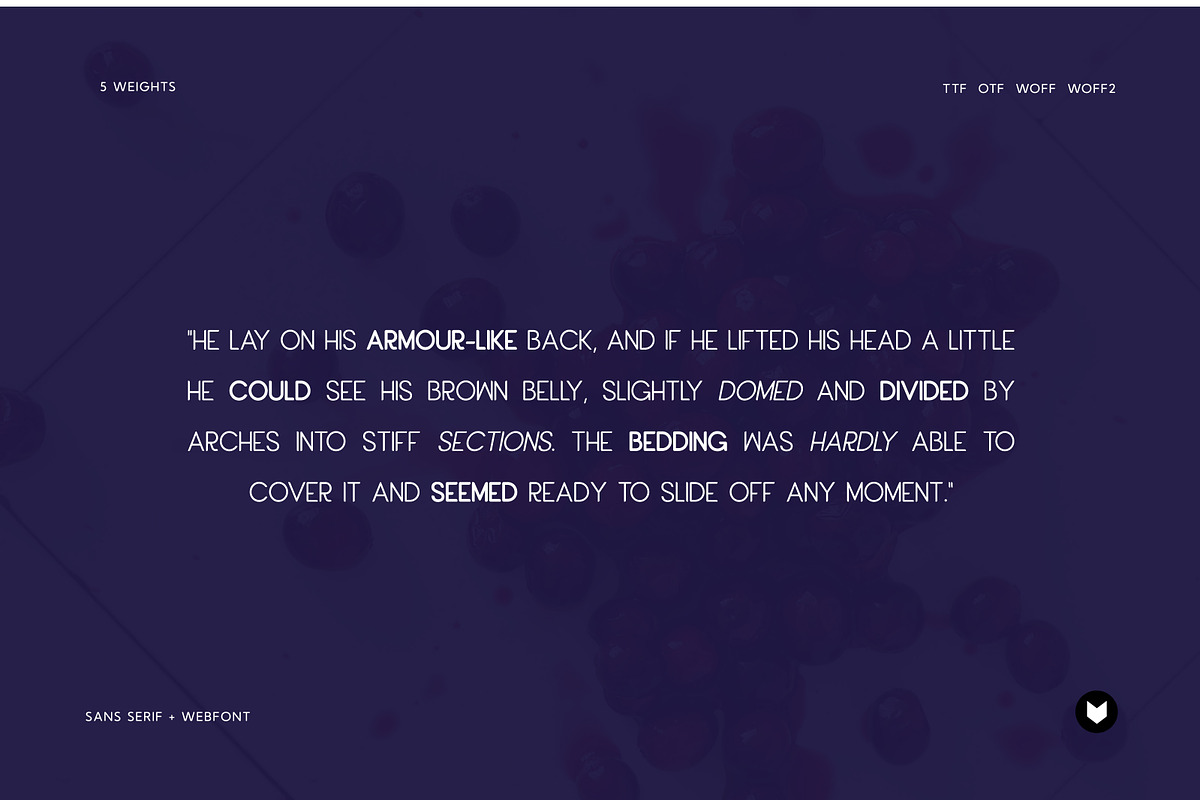Cranberry Display Typeface, a Font by Foxtype (Photo 8 of 8)