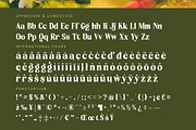 Rusty Drake Bold Serif Display, a Serif Font by timelesstype.co (Thumbnail 18 of 20)