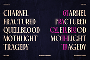 TT Montero Serif Condensed, a Serif Font by truetype (Thumbnail 7 of 15)