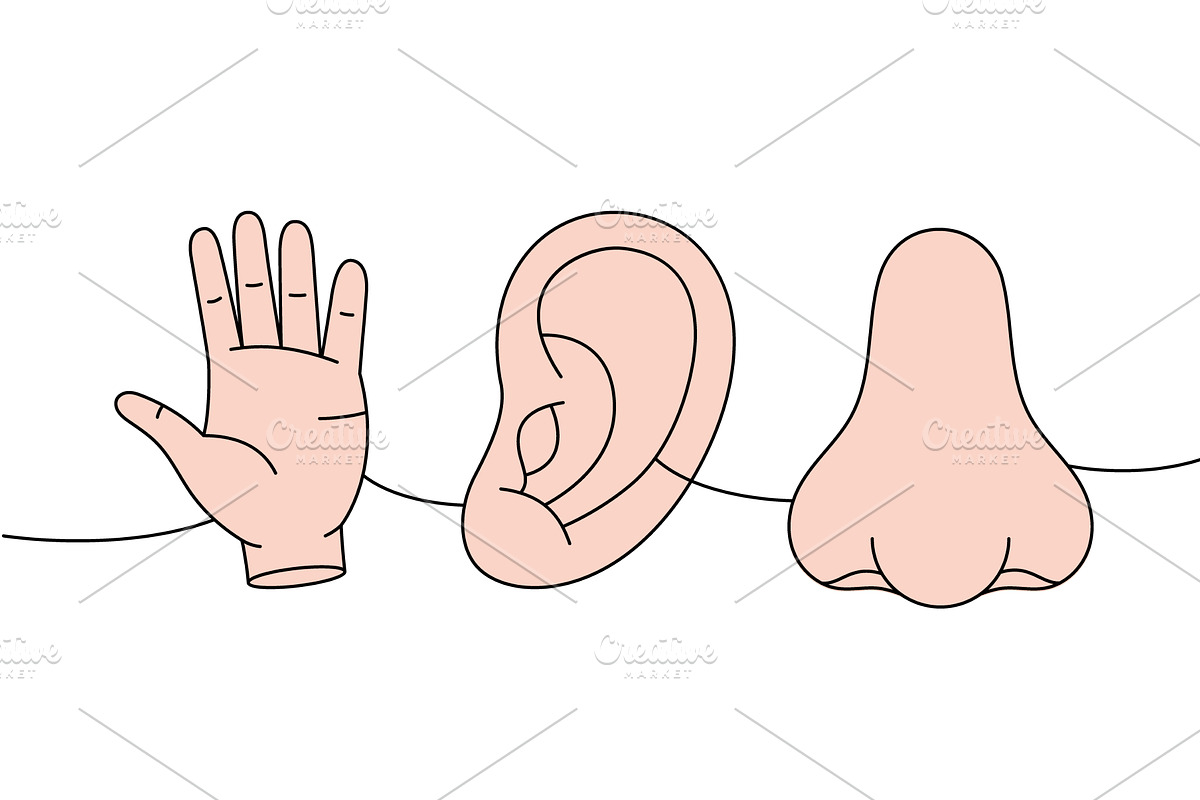 Set of human organ one line colored, an Object Illustration by GraphiShop