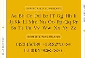 Essly Serif Font, a Serif Font by Idea Studio (Thumbnail 9 of 11)