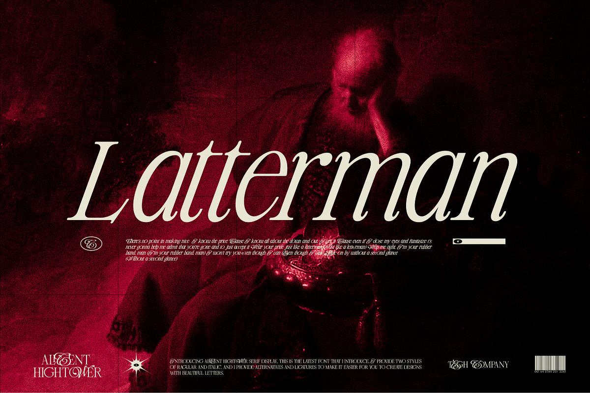 ALICENT HIGHTOWER SERIF DISPLAY, a Serif Font by Tegh co. (Photo 15 of 16)