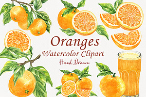 Oranges Watercolor Clipart, a Food Illustration by BarvArt
