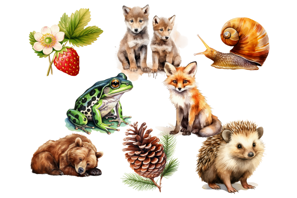 Woodland Animals Clipart Bundle, an Animal Illustration by Mash Mash Stickers (Photo 4 of 9)