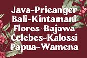 Wellfon - Modern Retro Serif Font, a Serif Font by Pekotype (Thumbnail 6 of 11)