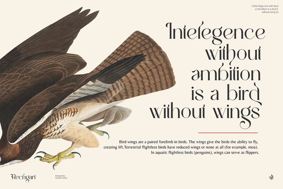 Rechgart, a Serif Font by Aluyeah Studio (Photo 9 of 15)