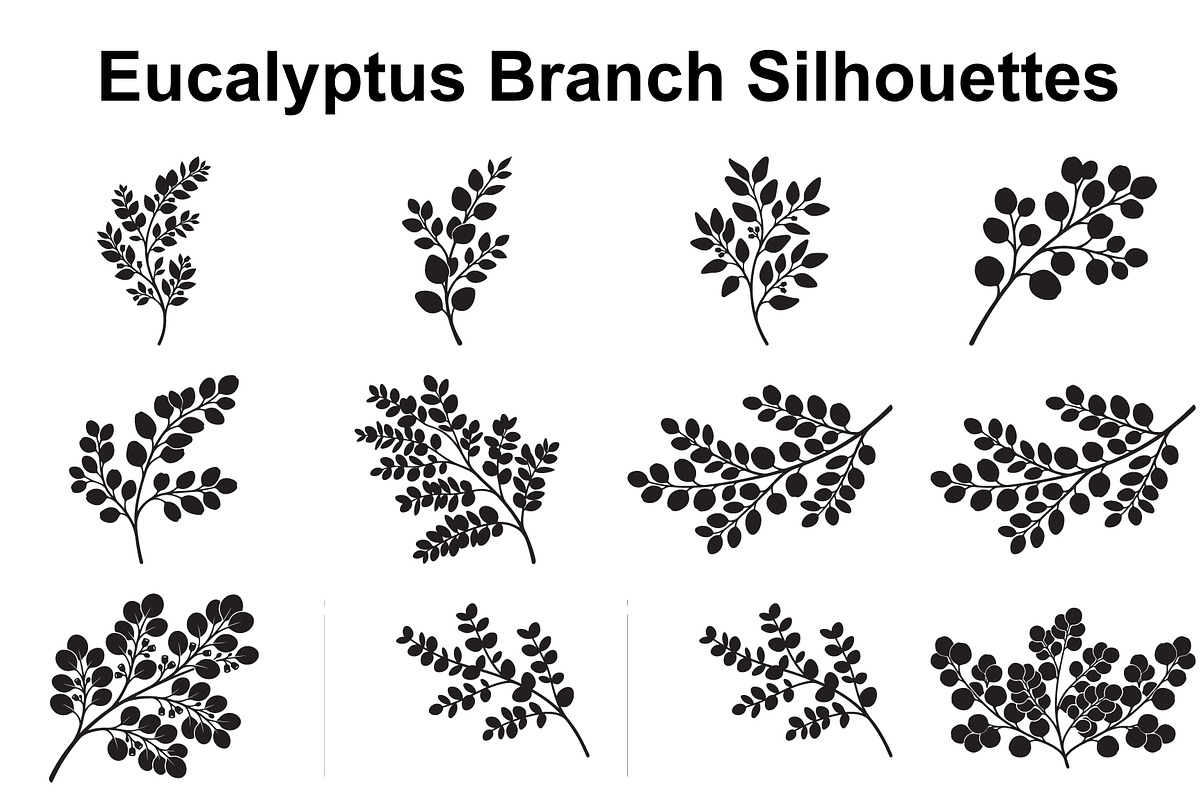 Eucalyptus Foliage Silhouette Set, an Object Graphic by Designs_River (Photo 1 of 3)