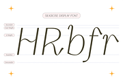 Silkrose - Delicate Display Font, a Sans Serif Font by Artflorara (Thumbnail 12 of 14)
