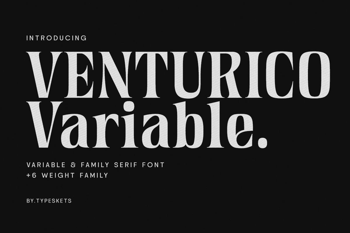 Venturico - Variable Font, a Serif Font by Typeskets (Photo 1 of 11)