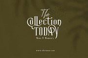 Roller Coaster Serif (Bonus), a Serif Font by Anxiety Studio (Thumbnail 3 of 19)