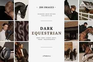Dark Equestrian | 200 stock images, an Animal Photo by Tale.Haus