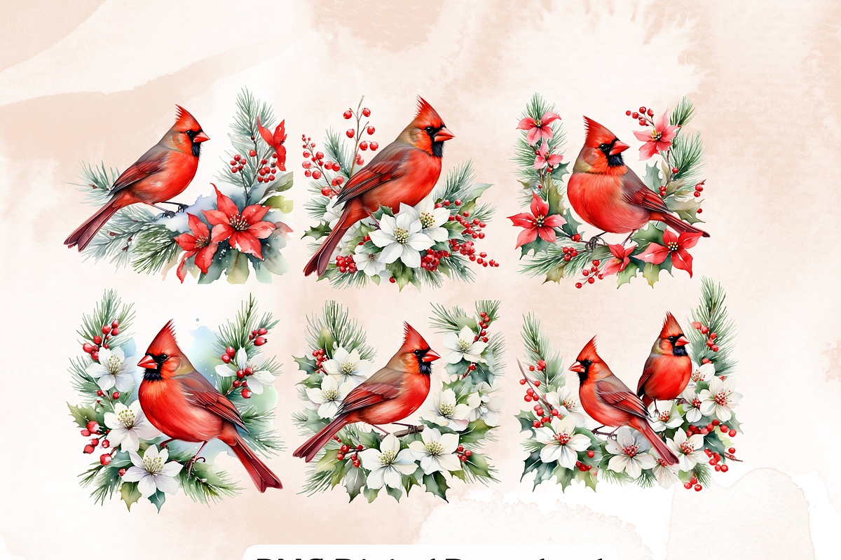 Red Cardinal Clipart,, an Animal Illustration by Anca Digital Vibe (Photo 5 of 6)