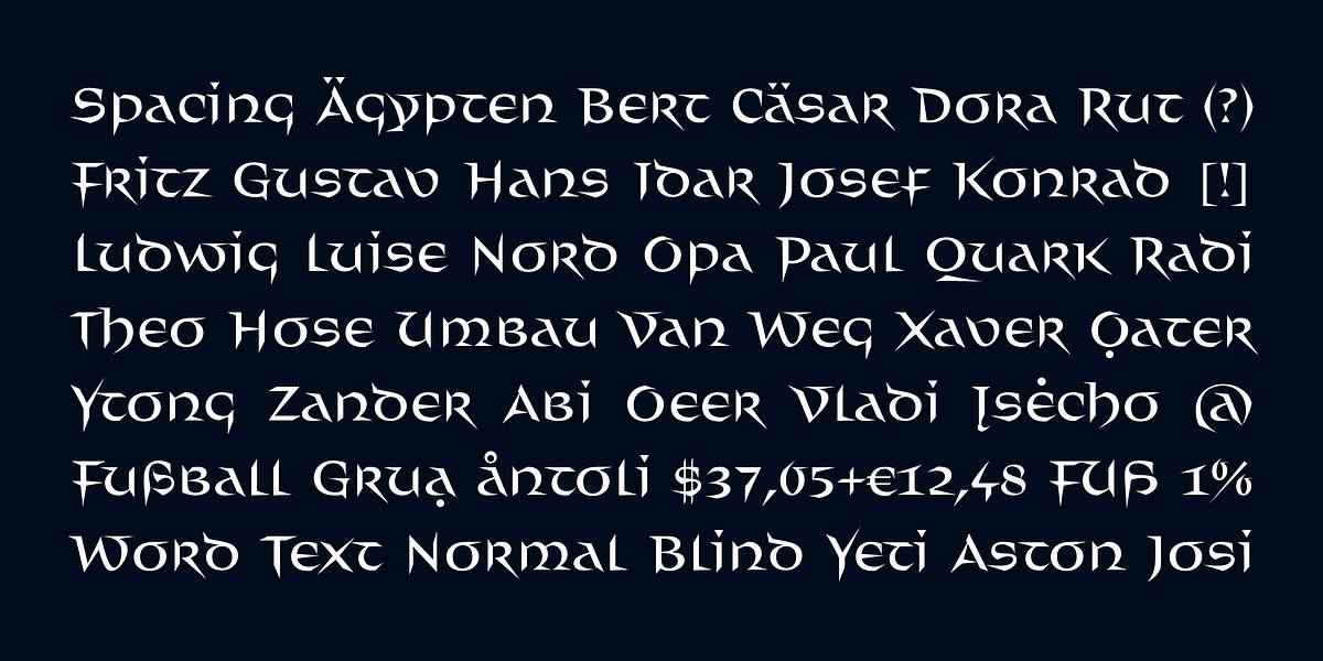 Distel, a Font by Finaltype (Photo 4 of 11)