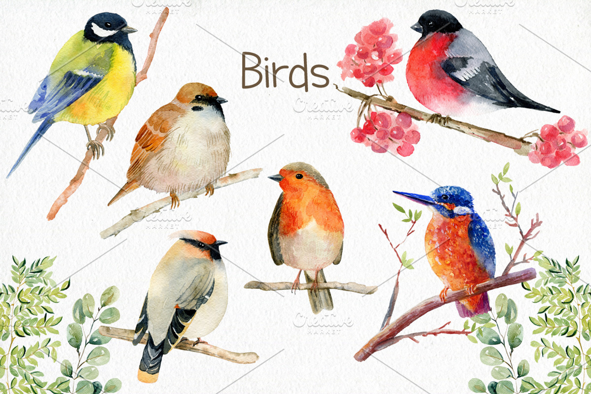 70% off. Bundle. Woodland animals., an Animal Illustration by TaPilipa (Photo 14 of 38)