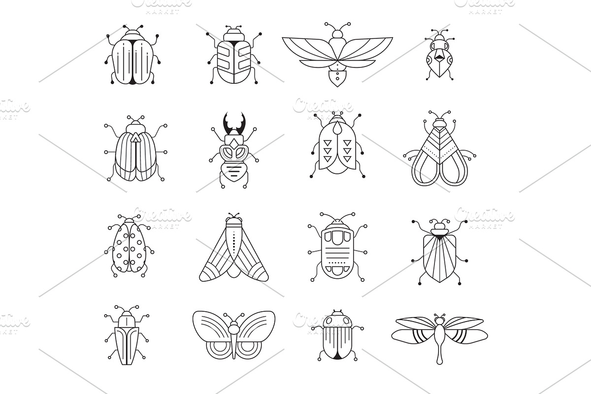 Bugs and insects collection, an Animal Illustration by Marish (Photo 6 of 7)