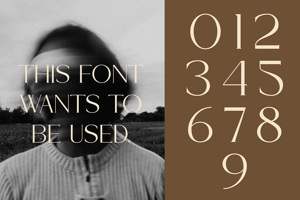 Bromle - New Modern Serif Font, a Serif Font by Muflieart (Photo 4 of 12)