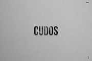 PRISM | Analog Light Leaks & Bokehs, a Preset Add-On by CUDOS (Thumbnail 16 of 16)