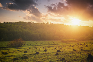 Peaceful meadow landscape with golden sunset creates serene mood, a Nature Photo by Eugene_Photo