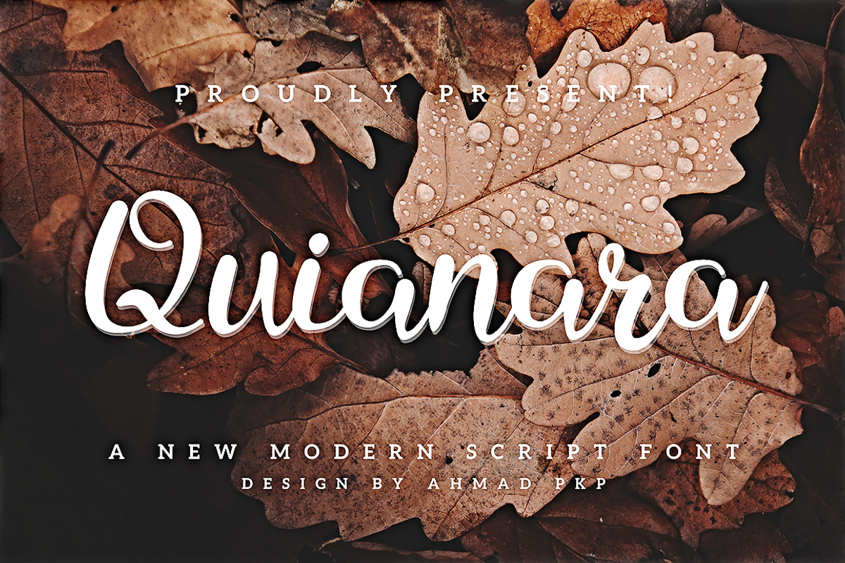 Quianara Font - Elegant Script, a Script Font by Ahmad Pkp Studio (Photo 1 of 9)