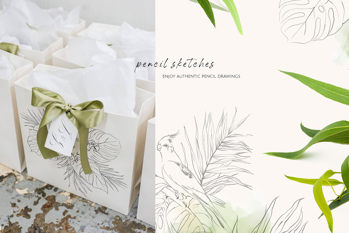 TROPICAL PARADISE birds and plants, a Decorative Illustration by Yuliia Lashevska (Photo 13 of 14)