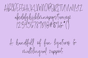 Amethyst | A Signature Font, a Script Font by Sunkissed Minimalist (Thumbnail 4 of 4)