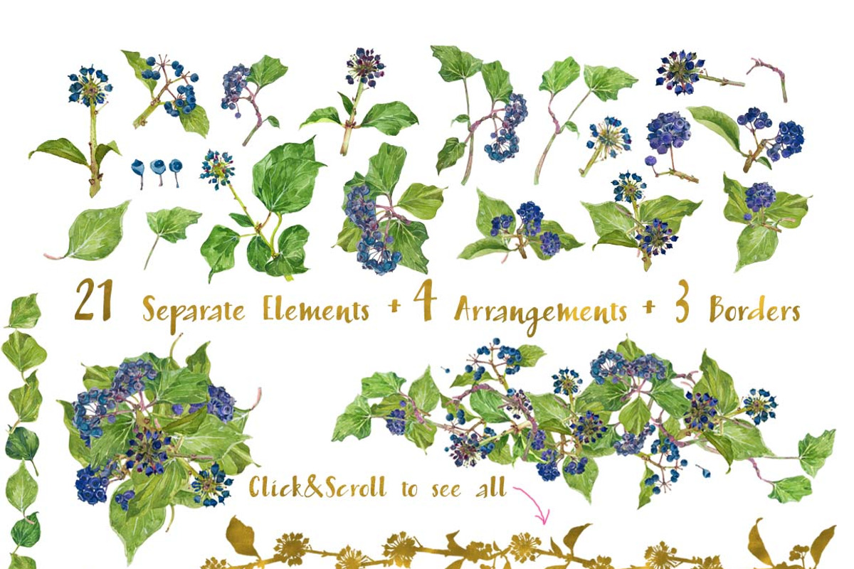 Ivy_Greenery_watercolor, an Illustration by watercolorwild.graphics (Photo 4 of 7)