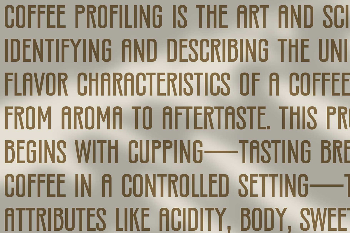 Silverandes; Condensed Display Font, a Font by Eko Bimantara (Photo 8 of 12)