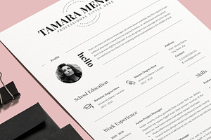 Professional Resume Template / Cv