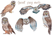 Watercolor Owls Bundle - 53 Owls, an Animal Illustration by YesFoxy (Thumbnail 6 of 11)