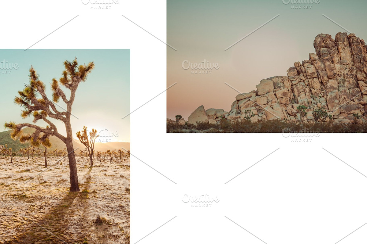 Joshua Tree Desert Wall Art, a Background Photo by Munopia (Photo 4 of 10)