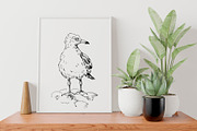 Sea gull. Hand-drawn sketch, an Illustration by Canatic (Thumbnail 5 of 5)