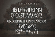OAKSTREE - Casual Brush Display Font, a Script Font by Guavanaboy (Thumbnail 6 of 7)