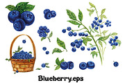 Fruits and berries collection_part 1, an Illustration by ZotovShop (Thumbnail 6 of 20)