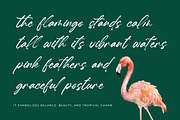 Hugetta Amphals Elegant Brush Font, a Script Font by Letterena Studios Script (Thumbnail 4 of 15)