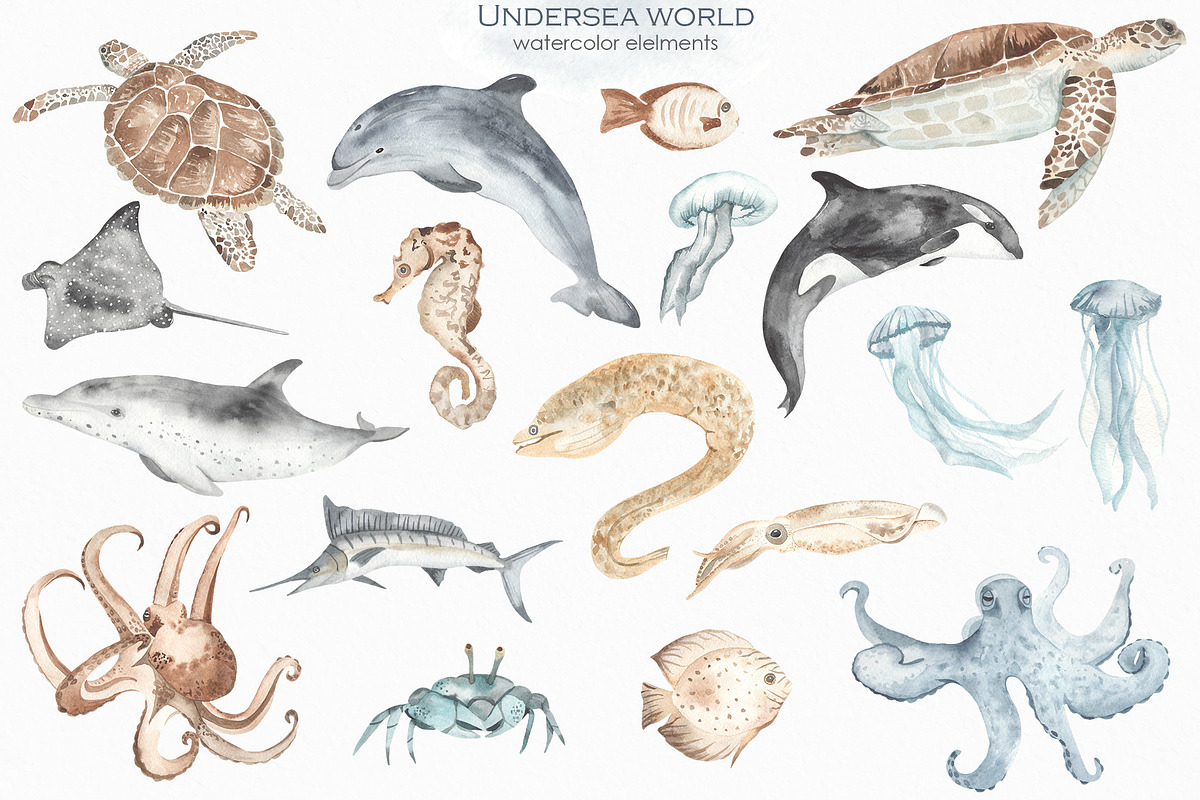 Undersea world Watercolor, an Animal Illustration by Marina Ermakova (Photo 3 of 12)