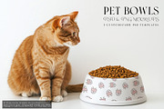 Pet Bowls PNG & PSD Mockups, a Product Mockup by mock-ups (Thumbnail 1 of 12)