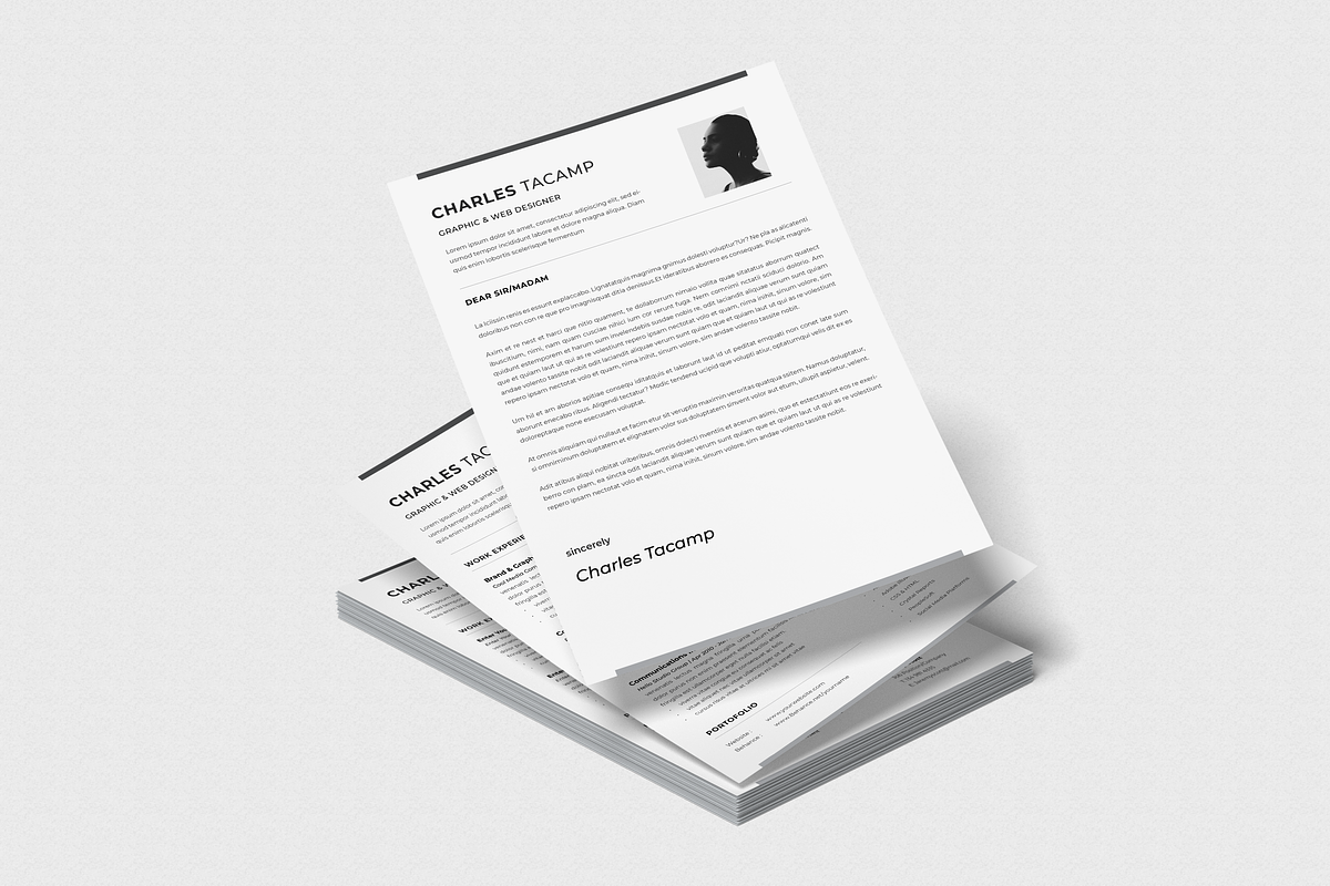 Professional CV Resume, a Resume Template by Faiz zakharia (Photo 4 of 7)