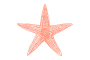 10 Vector Ocean Illustration Pack, an Illustration by Theresa Barba (Thumbnail 11 of 11)