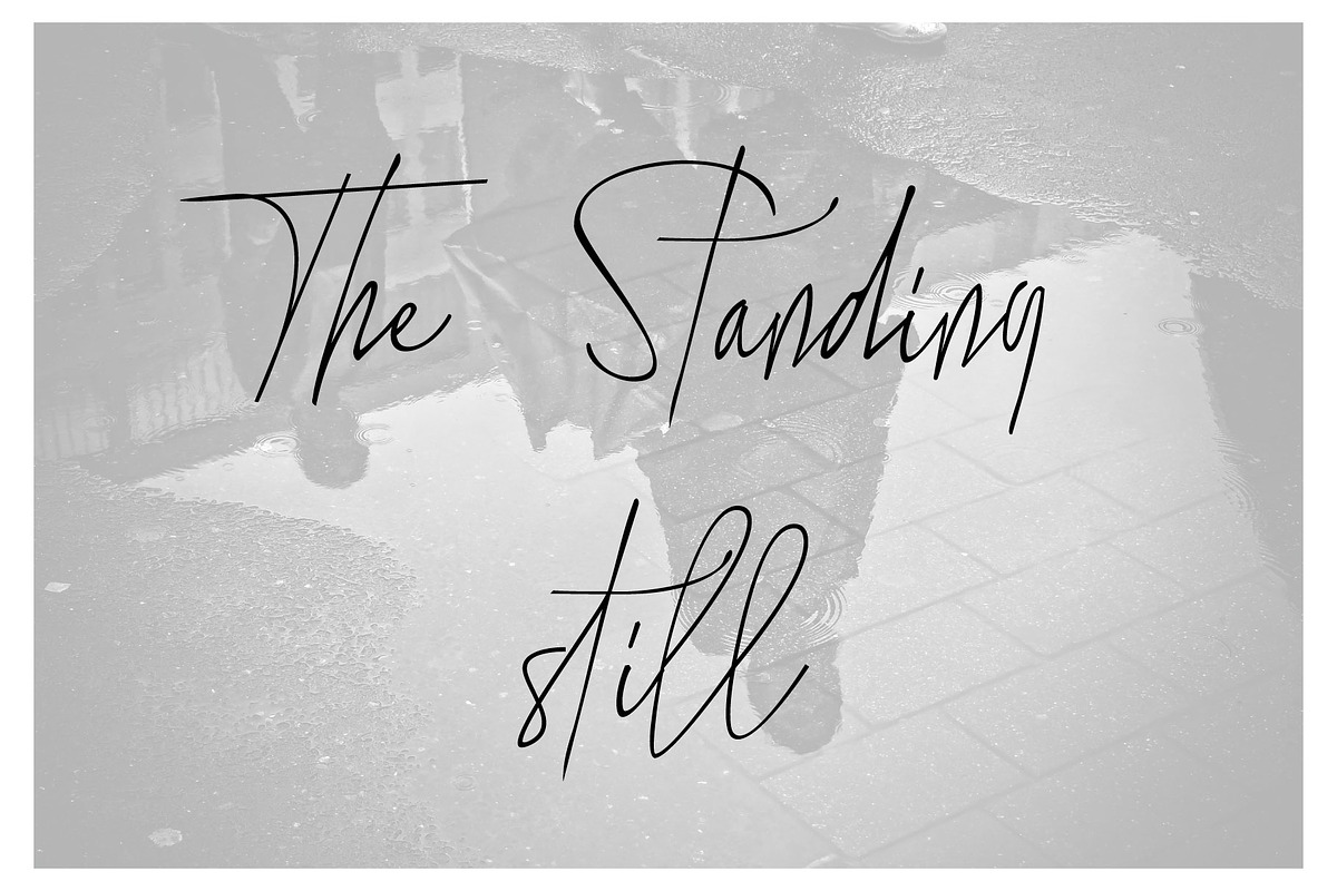 The Standing Still, a Script Font by Gittype (Photo 10 of 12)