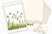 Watercolor Flowers - Chamomile, an Illustration by swiejko (Thumbnail 5 of 6)