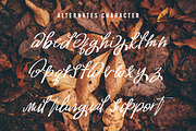 Josephine Brushes Script Font, a Script Font by Say Studio (Thumbnail 9 of 10)
