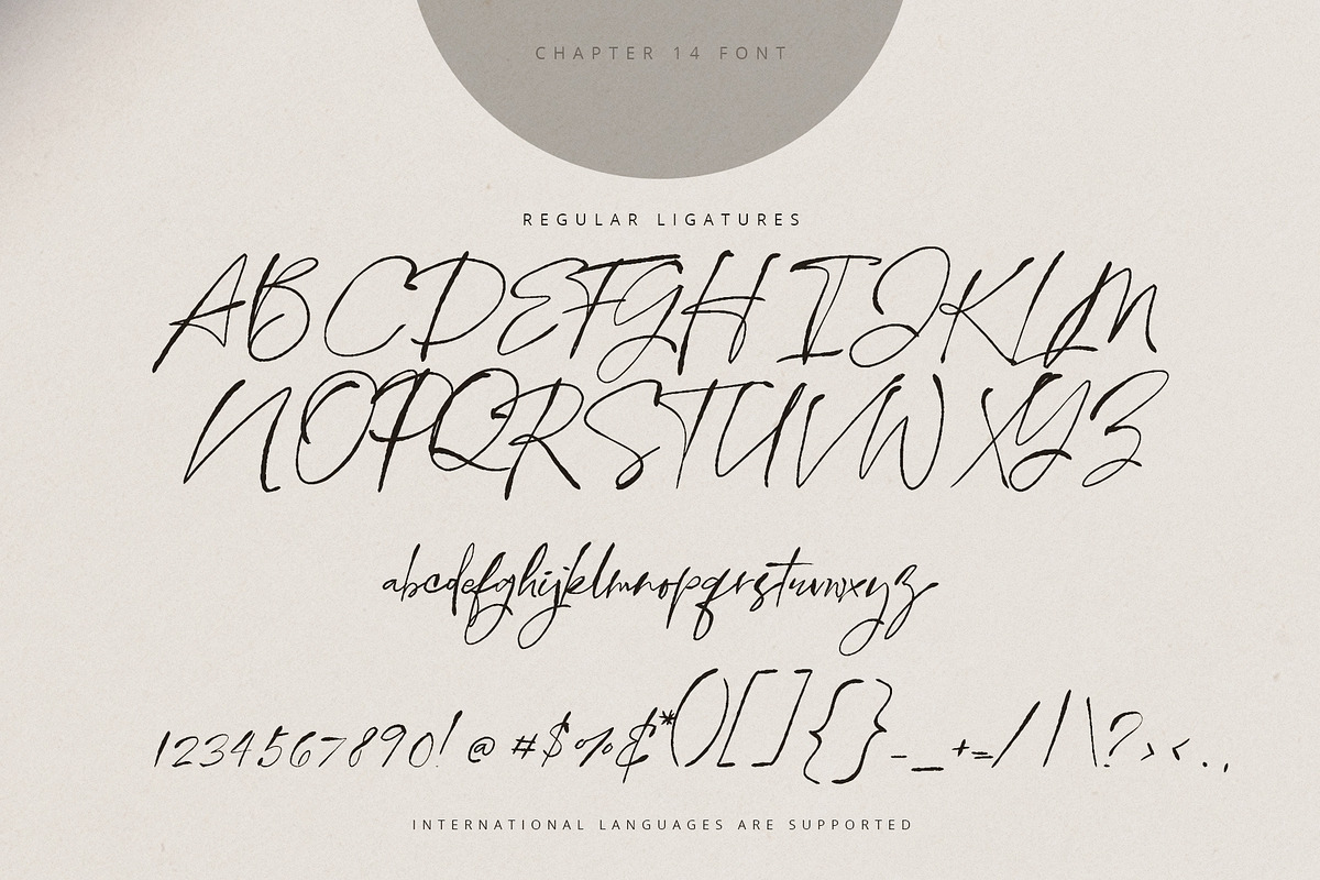 Chapter Fourteen Script Font, a Script Font by Creativeqube Design (Photo 10 of 11)