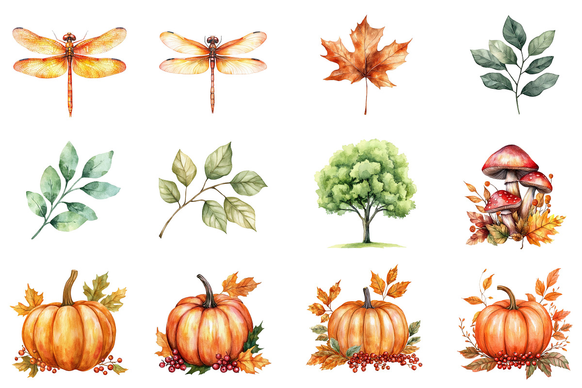 Autumn Flower Pumpkin Designs, an Illustration by CitraGraphics (Photo 4 of 5)