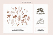 Organic Botanicals & Logo Designs, an Illustration by amber&ink (Thumbnail 2 of 17)