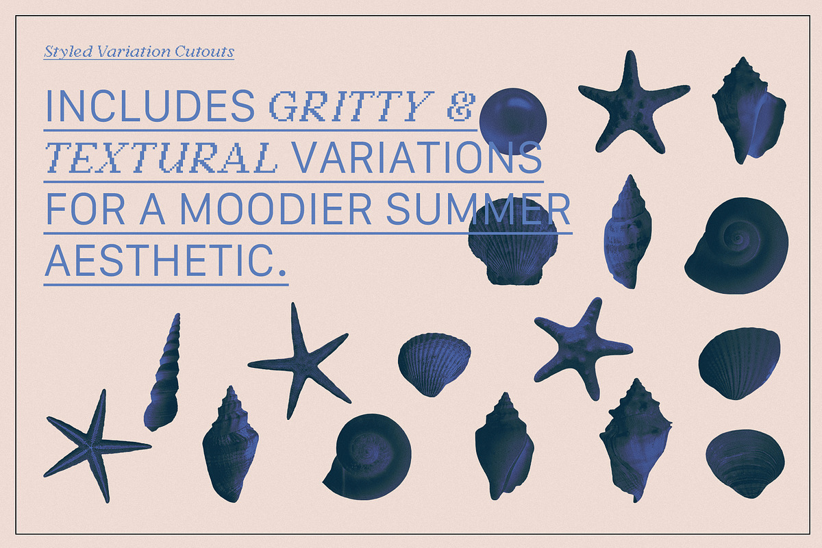 BRISA MARINA Seashells & Collage, an Object Graphic by Desert Poetic (Photo 4 of 5)