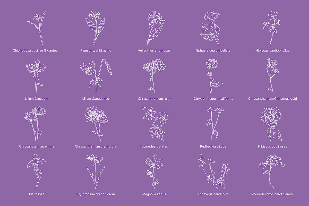 Flower icons, an Icon by Hamocreate (Photo 3 of 11)