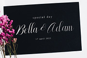 Milsey, a Script Font by Gatype (Thumbnail 5 of 5)