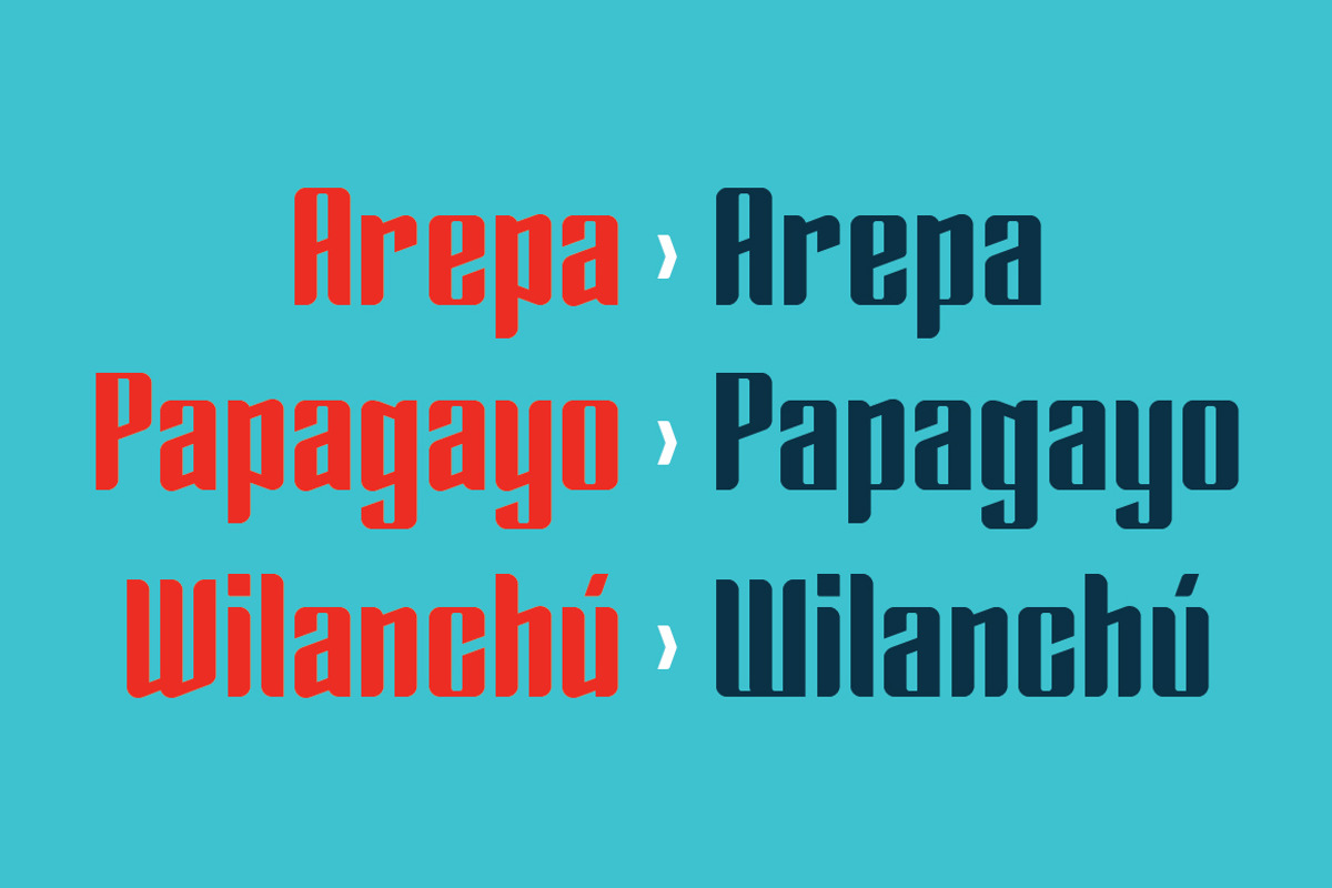 Enza Black, a Sans Serif Font by Neo Type Foundry (Photo 9 of 10)