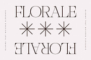Nocashe New Display Serif Font, a Serif Font by Storytype Studio (Thumbnail 11 of 15)