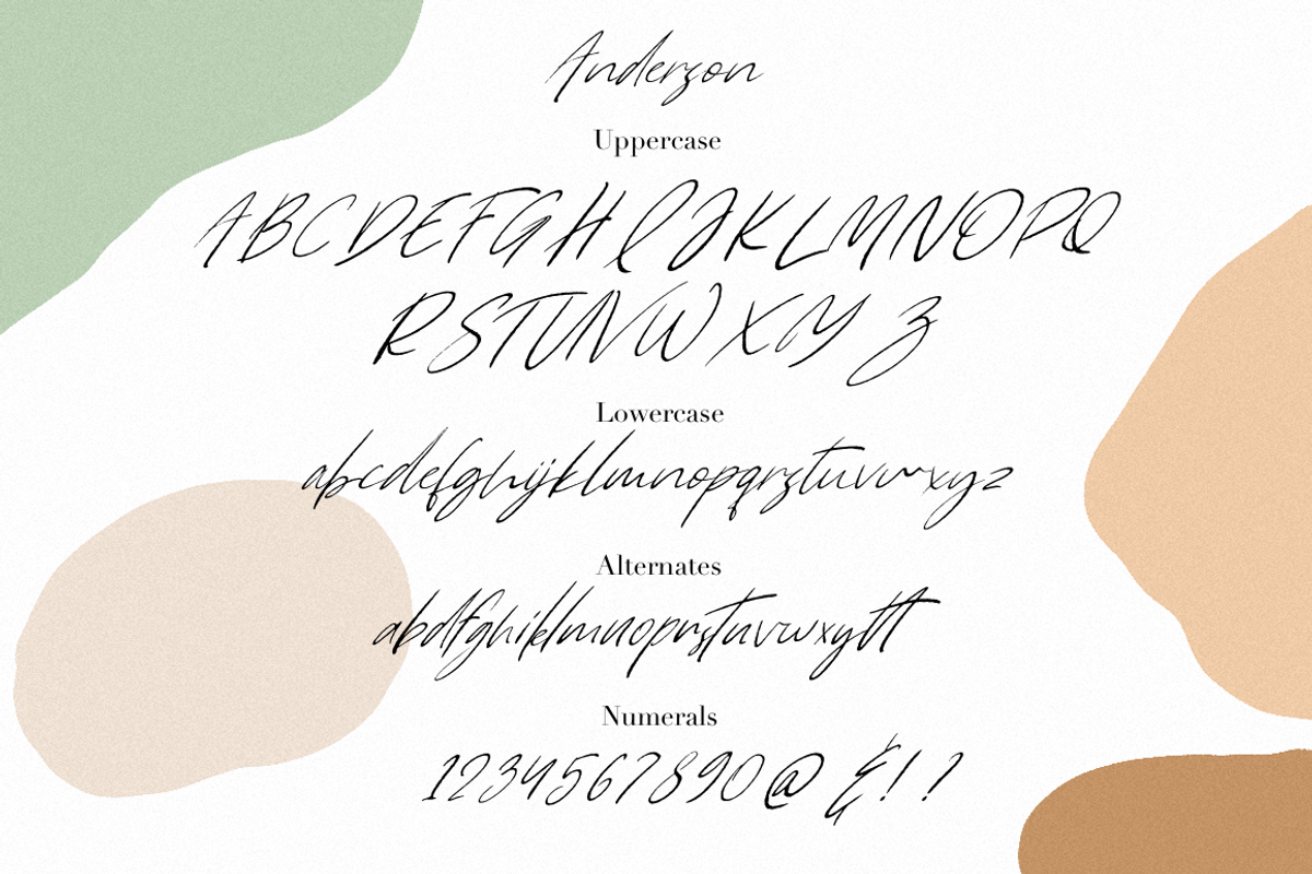 Anderson, a Script Font by Larin Type Co. (Photo 9 of 9)